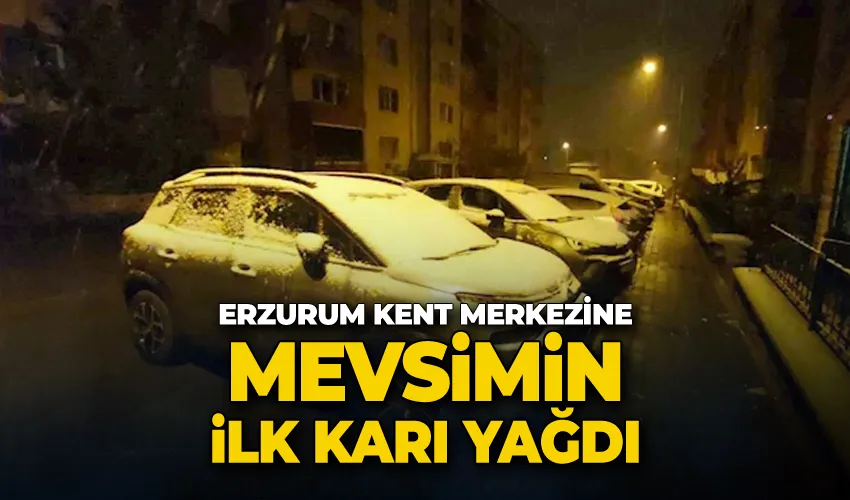 Erzurum kent merkezine mevsimin ilk karı yağdı