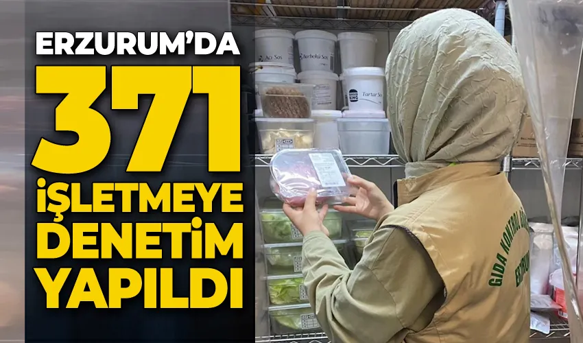 371 işletmeye denetim yapıldı