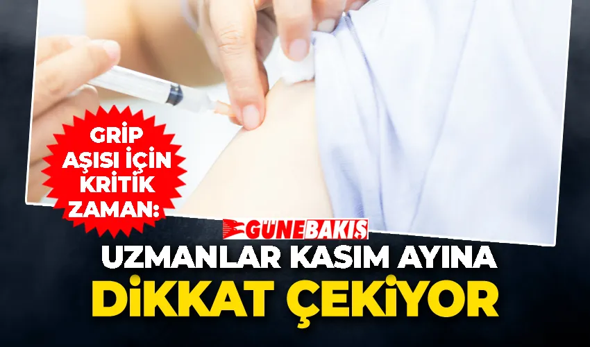 Grip Aşısı İçin Kritik Zaman: Uzmanlar Kasım Ayına Dikkat Çekiyor