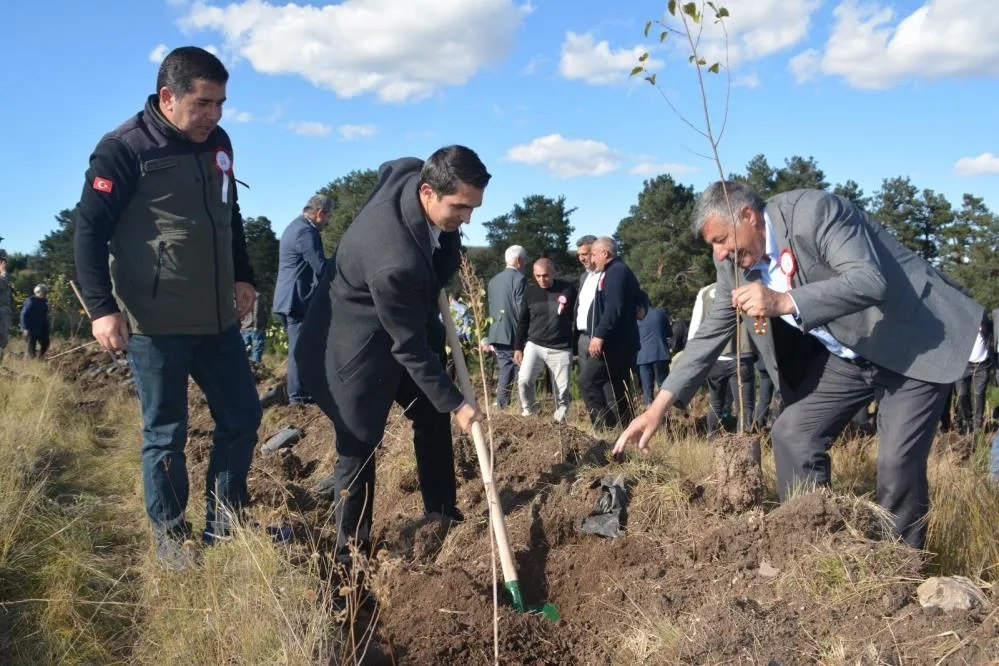 Sarıkamış Şehitleri adına fidanlar dikildi