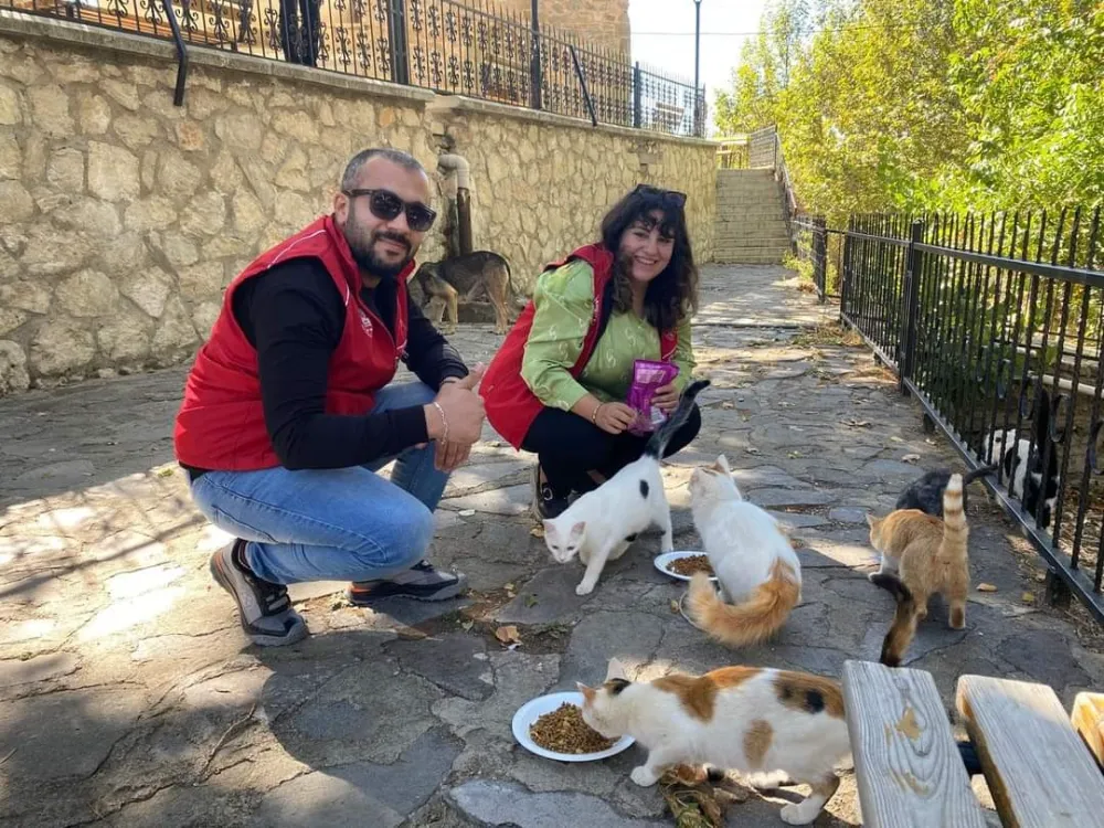 Elazığ’ın genç gönüllülerinden sokak hayvanlarına mama desteği