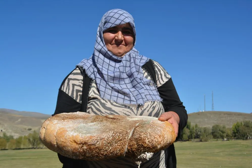 Peynir işkembeye dolduruluyor