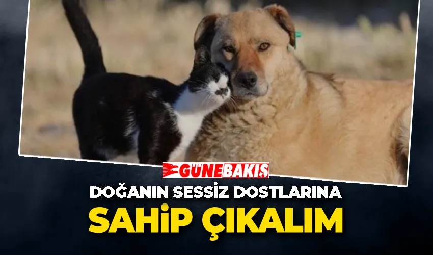 Doğanın Sessiz Dostlarına Sahip Çıkalım