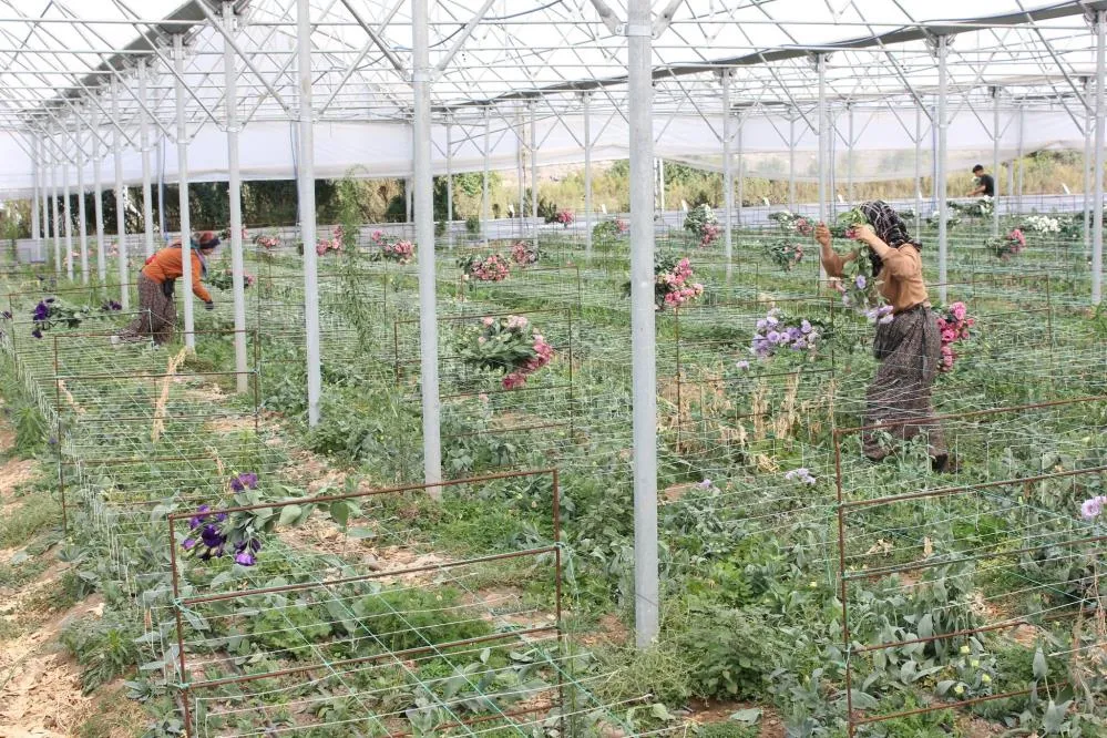 Tokat ve Samsun’a inceleme gezisi