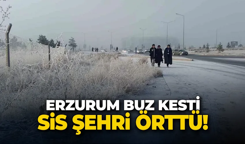 Erzurum buz kesti, sis şehri örttü