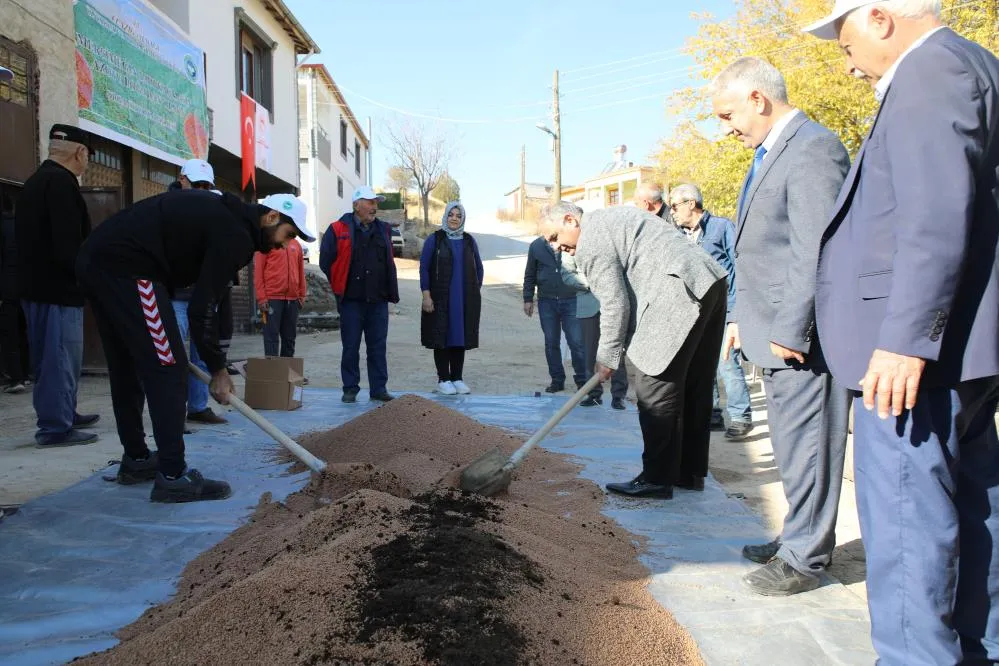 Organik mercimek üretimi artıyor