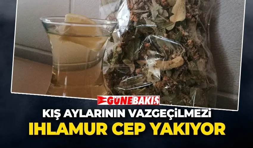 Kış Aylarının Vazgeçilmezi Ihlamur Fiyatları Cep Yakıyor 