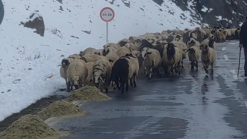 Besicilerin zorlu kış mesaisi başladı