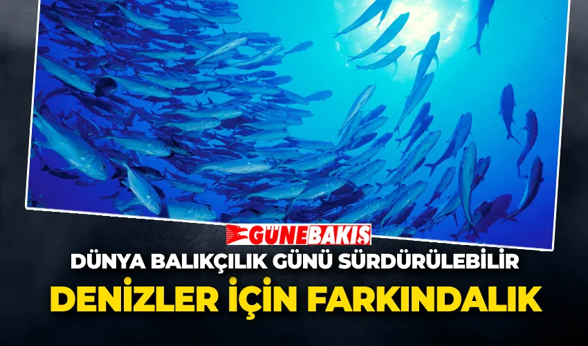 Dünya Balıkçılık Günü Sürdürülebilir Denizler İçin Farkındalık