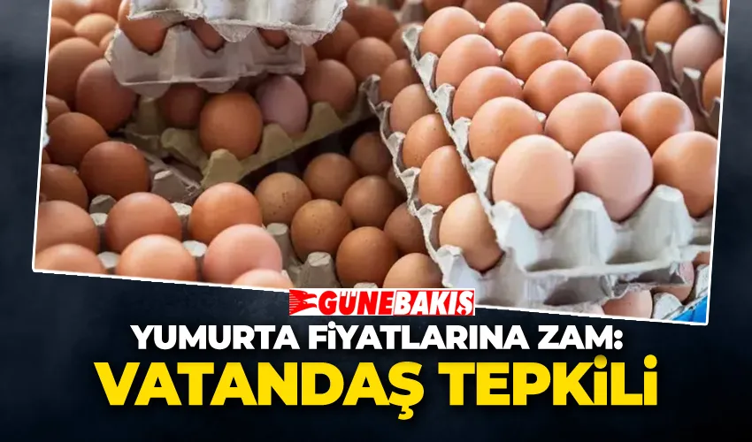 Yumurta Fiyatlarına Zam: Vatandaş Tepkili