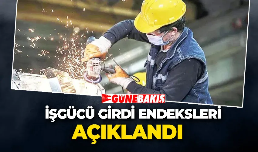 İşgücü Girdi Endeksleri Açıklandı