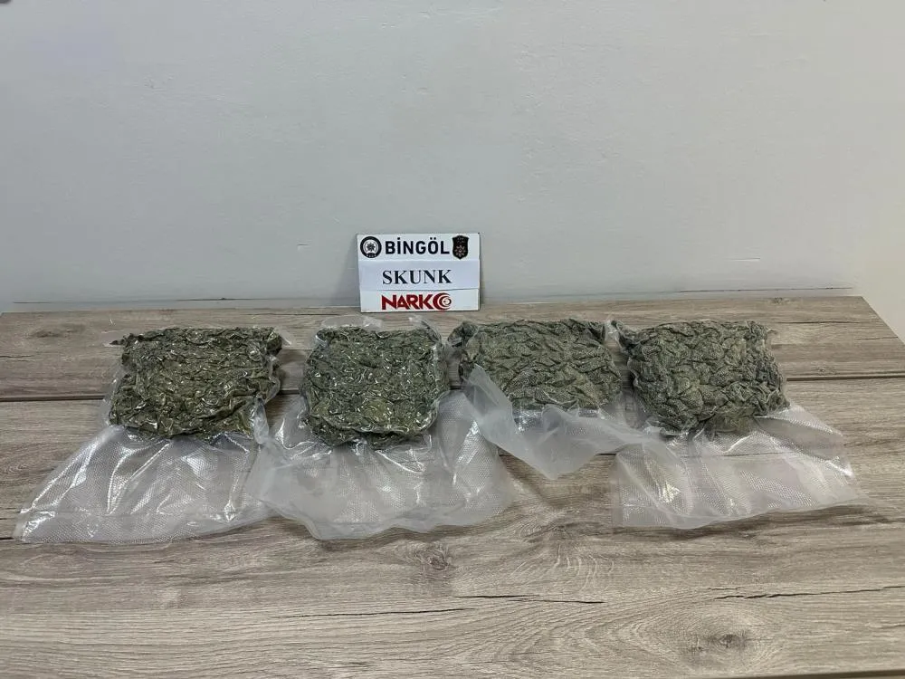 2 kilo 86 gram skunk ele geçirildi