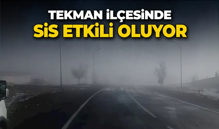 Tekman’da sis etkili oluyor