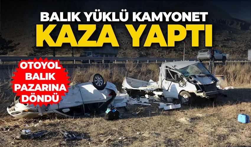 Balık yüklü kamyonet kaza yaptı, otoyol balık pazarına döndü