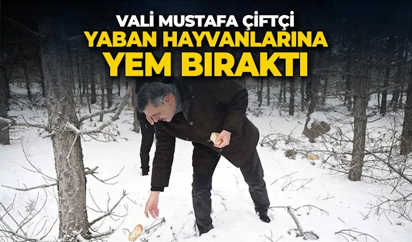 Vali Mustafa Çiftçi, yaban hayvanlarına yem bıraktı