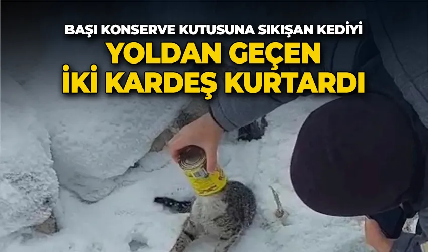 Başı konserve kutusuna sıkışan kediyi yoldan geçen iki kardeş kurtardı