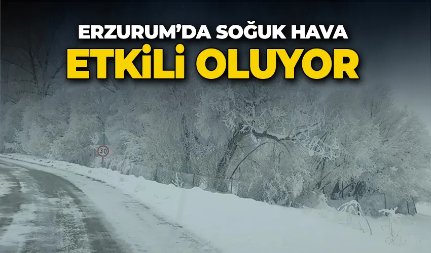 Erzurum’da soğuk hava etkili oluyor