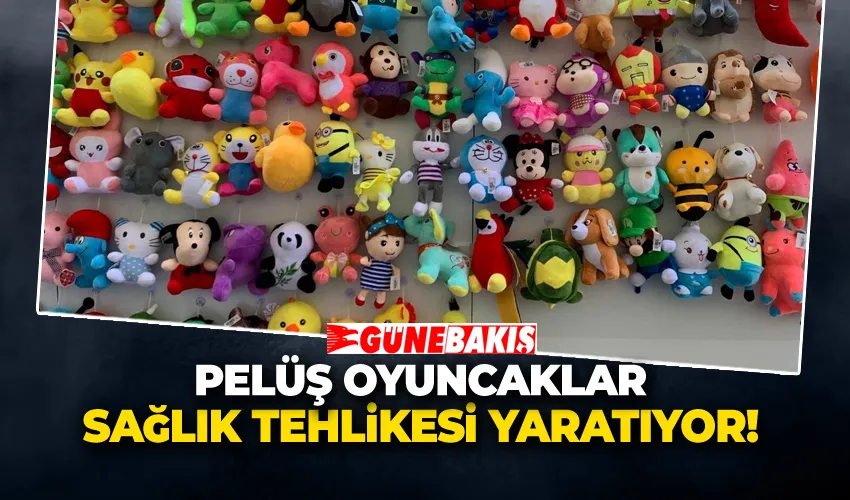Pelüş Oyuncaklar Sağlık Tehlikesi Yaratıyor! 