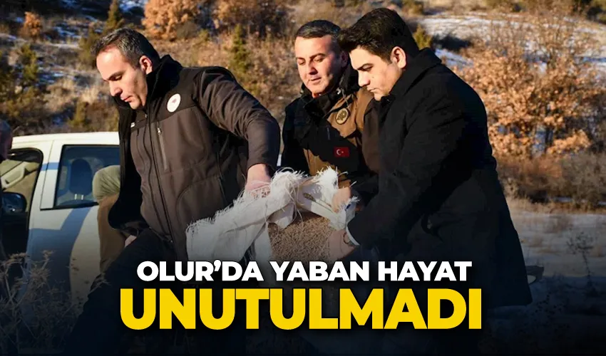 Olur’da yaban hayat unutulmadı