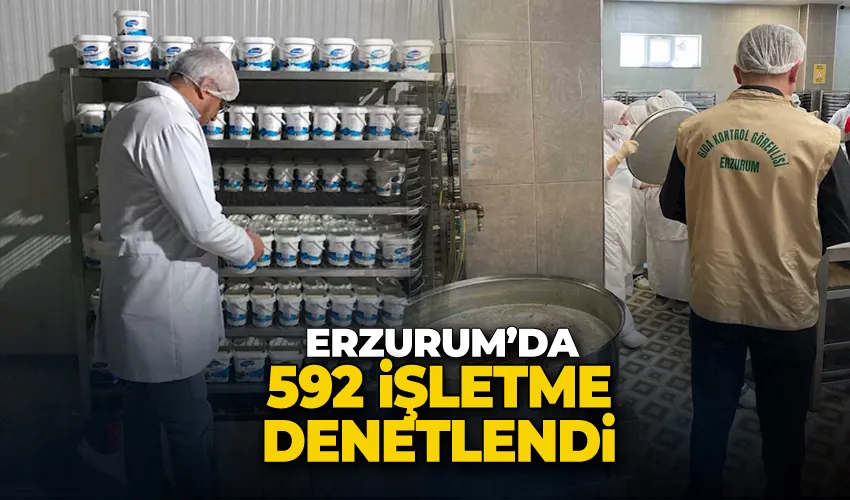 Erzurum’da 592 işletme denetlendi