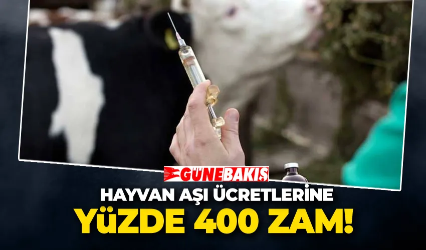 Hayvan Aşı Ücretlerine Yüzde 400 Zam 