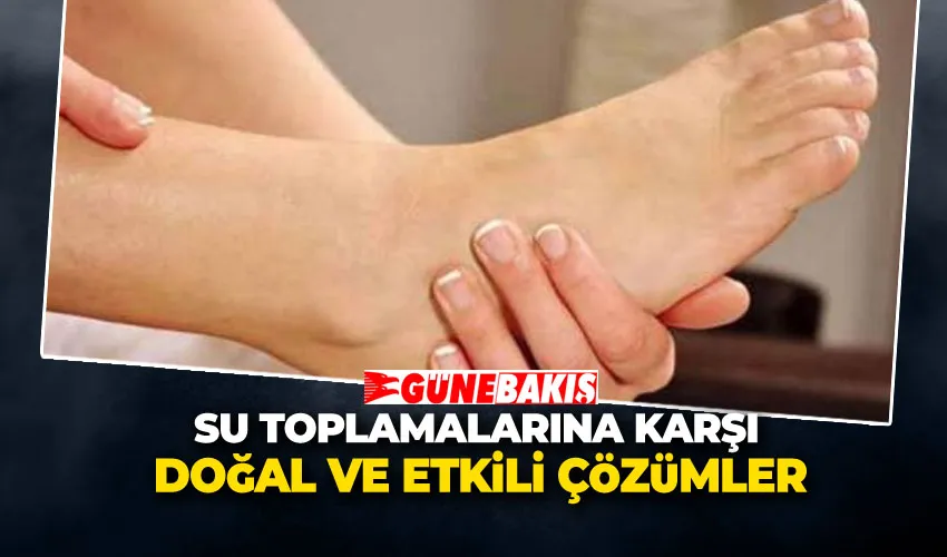 Su Toplamalarına Karşı Doğal ve Etkili Çözümler