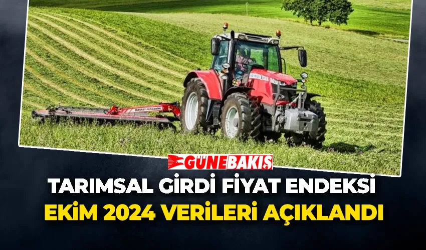 Tarımsal Girdi Fiyat Endeksi Ekim 2024 Verileri Açıklandı