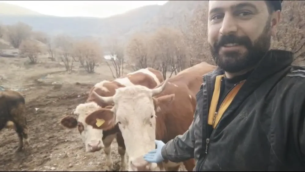 Besicinin inekleri ile olan dostluğu gülümsetti