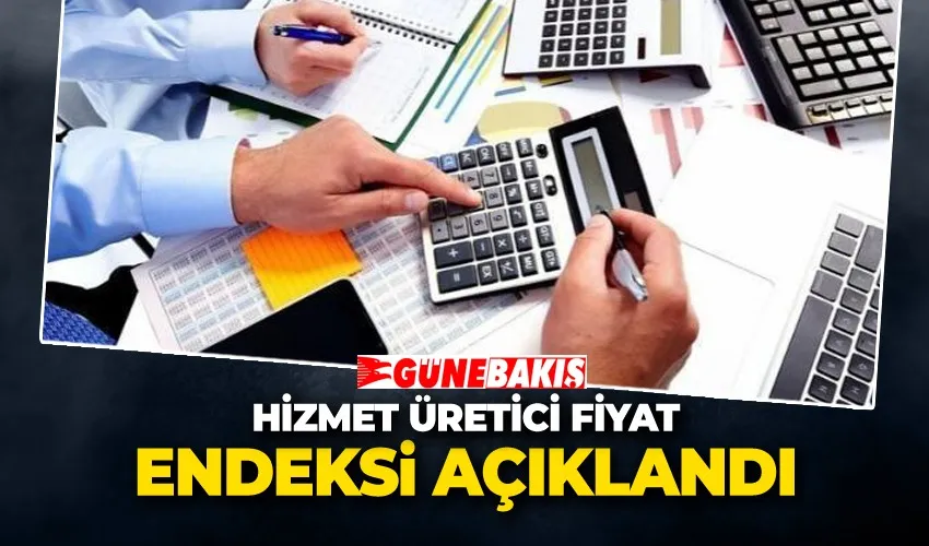 Hizmet Üretici Fiyat Endeksi Açıklandı