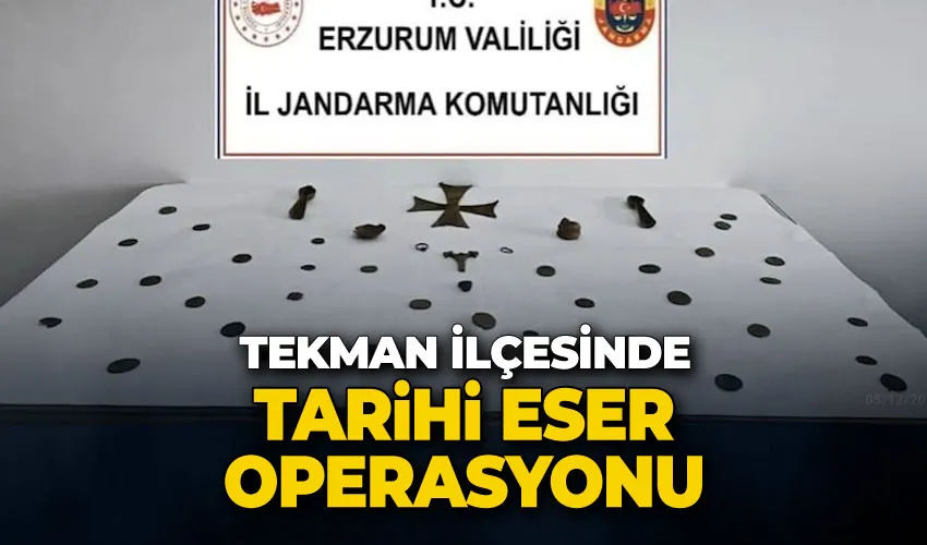 Tekman’da tarihi eser operasyonu