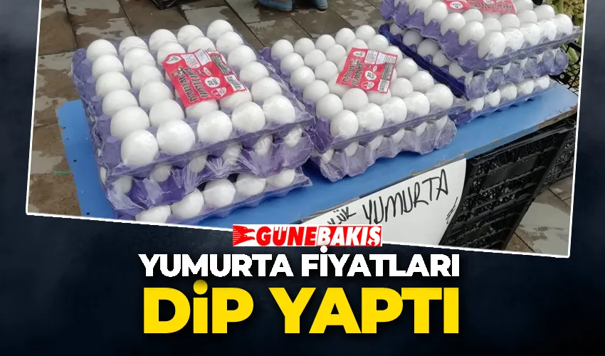 YUMURTA FİYATLARI DİP YAPTI 