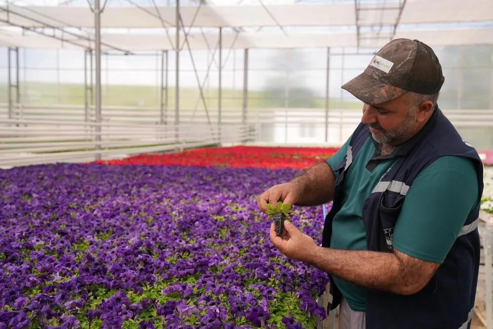  Kent estetiğine değer kazandırıyor
