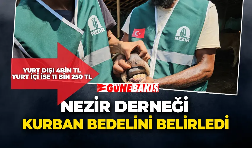 NEZİR DERNEĞİ KURBAN BEDELİNİ BELİRLEDİ