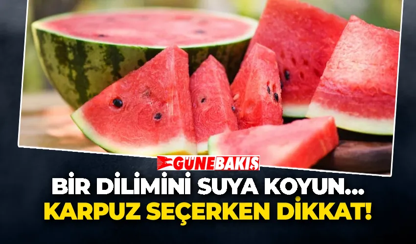 Karpuz seçimi: Bir dilimini suya koyun…