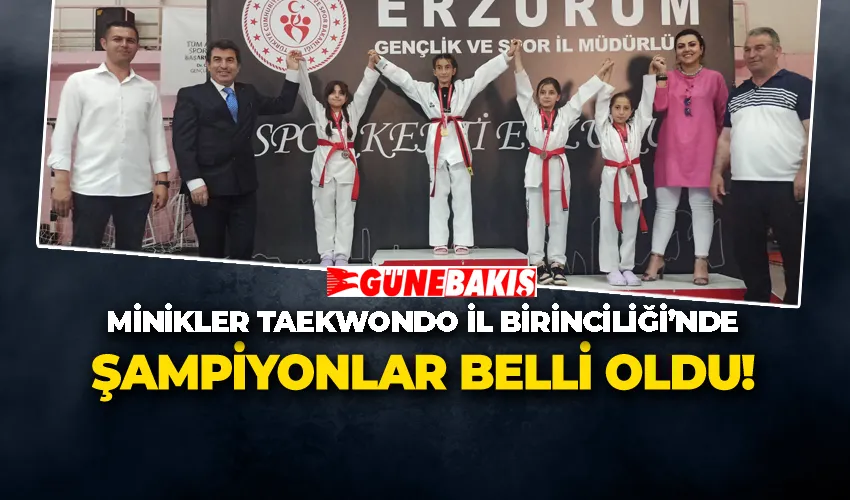 Minikler Taekwondo İl Birinciliği’nde Şampiyonlar Belli Oldu