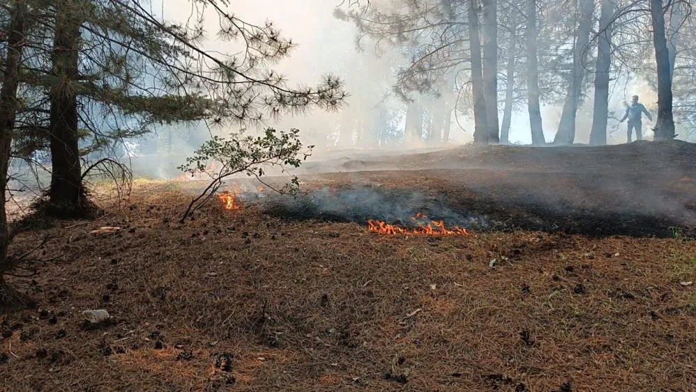 Bingöl’deki orman yangını söndürüldü