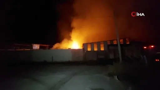 Adana’da ahşap imalathanesinde yangın