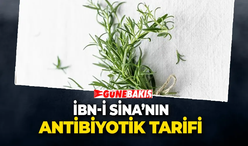 İbn-i Sina Yüzyıllar Önce Antibiyotik Olarak Bununu Kullanıyormuş! Sarımsaktan 30 Kat Daha Güçlü