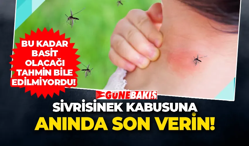 Sivrisinek kabusuna anında son verin!