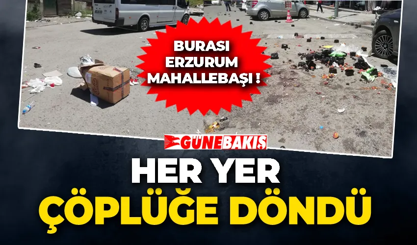 HER YER ÇÖPLÜĞE DÖNDÜ 