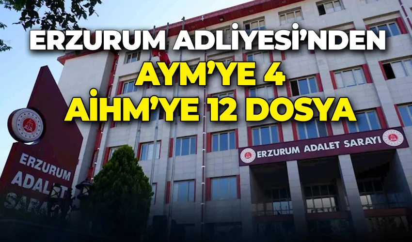 Erzurum Adliyesi’nden AYM’ye 4, AİHM’ye 12 dosya