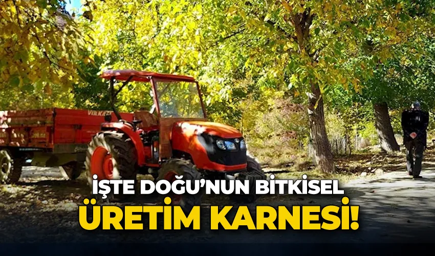 İşte Doğu’nun bitkisel üretim karnesi