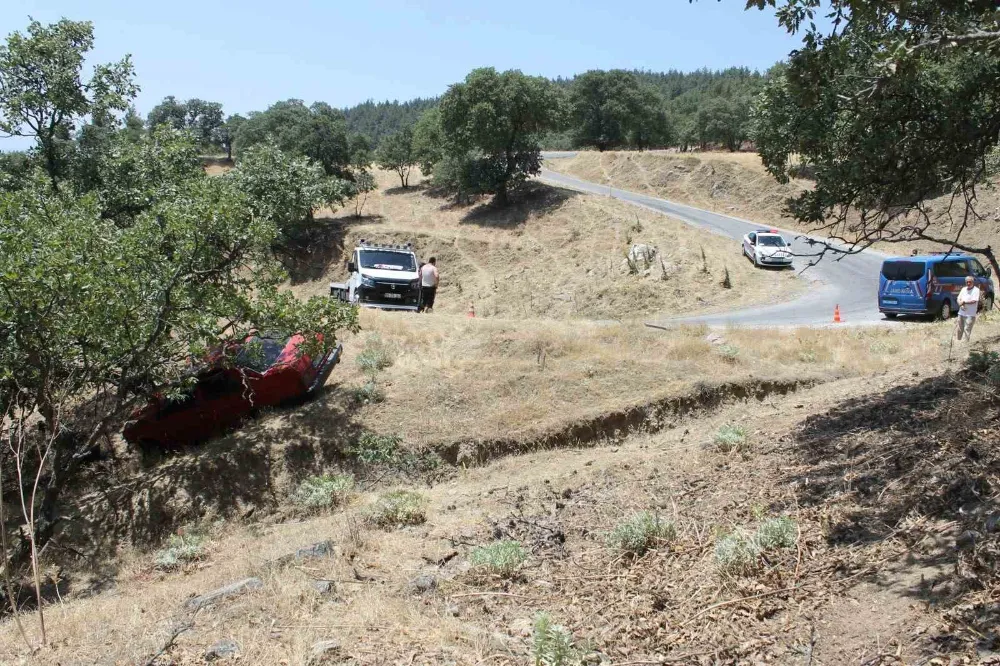 Otomobil yoldan çıkıp ağaca çarptı