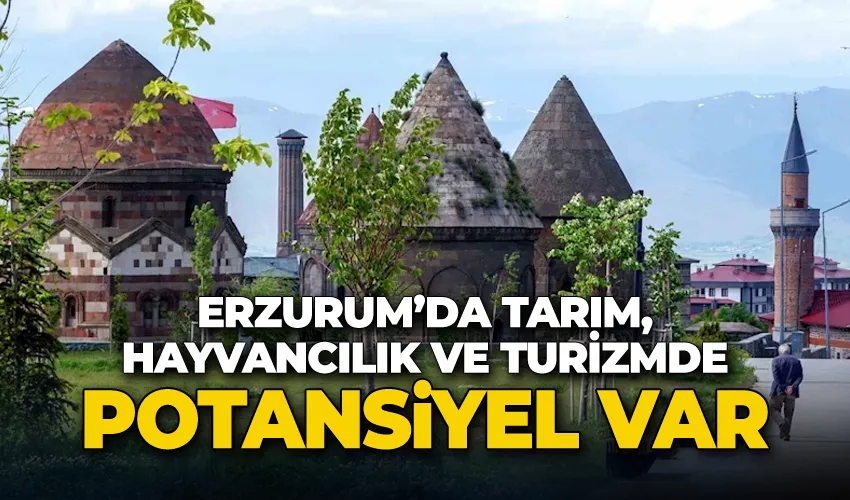 Erzurum’da tarım, hayvancılık ve turizmde potansiyel var