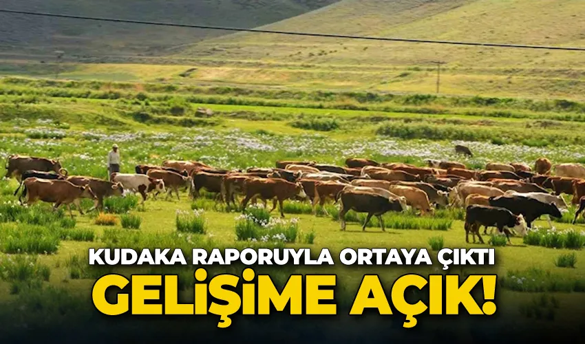 “Erzurum’da süt ürünleri üretimi gelişime açık”