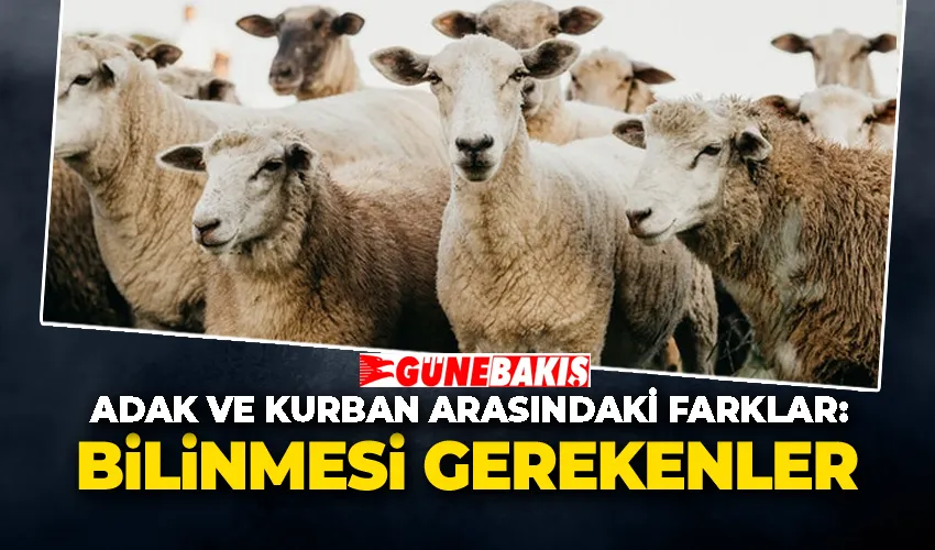 Adak ve kurban arasındaki farklar: Bilinmesi gerekenler