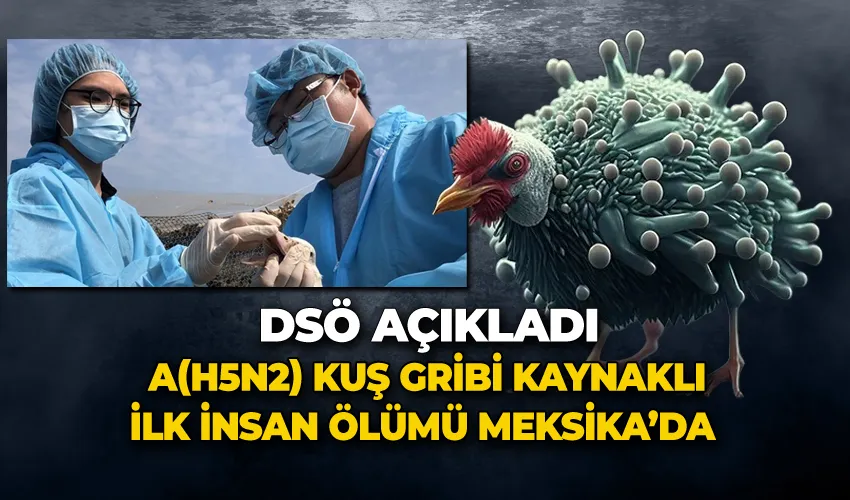 DSÖ: “A(H5N2) kaynaklı ilk insan ölümü Meksika’da doğrulandı”