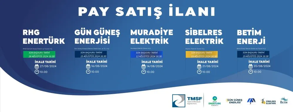 Yenilenebilir enerjide dev satış