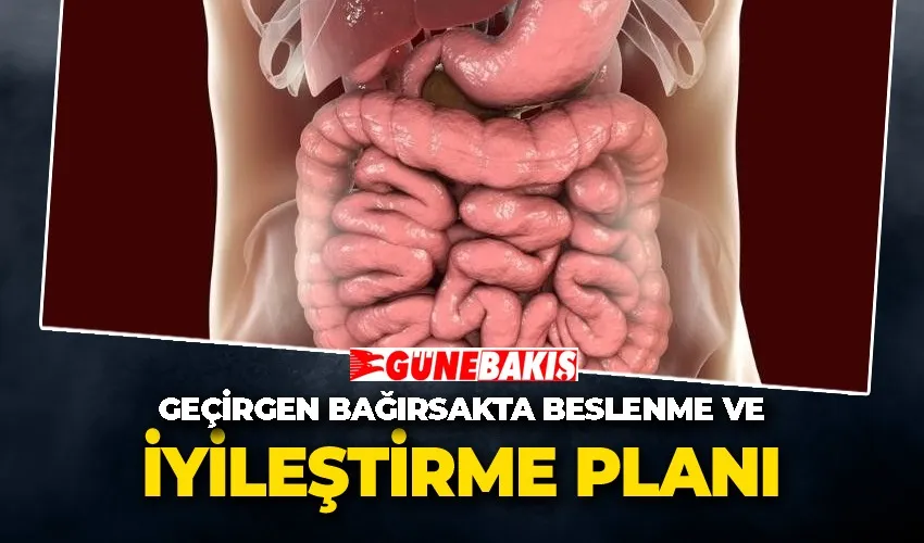 GEÇİRGEN BAĞIRSAKTA BESLENME VE İYİLEŞTİRME PLANI
