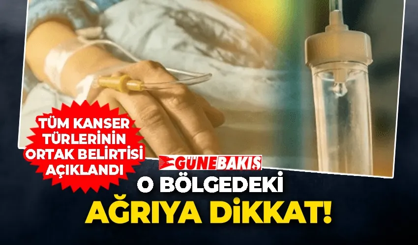 Tüm Kanser Türlerinin Ortak Belirtisi Açıklandı: O Bölgedeki Ağrıya Dikkat!